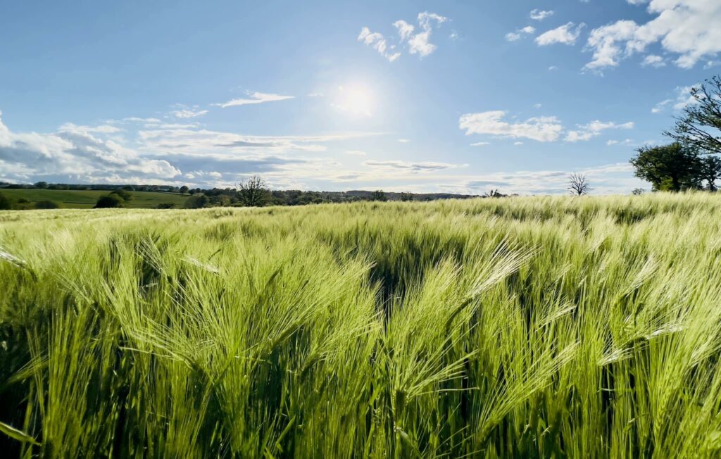 La Ferme du Tilloux image de couverture