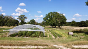 La Ferme de Mondry