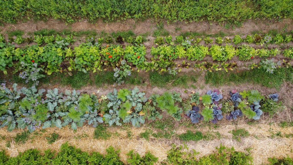 La Ferme de Mondry image de couverture