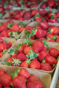 Archamb'Bio Fraises