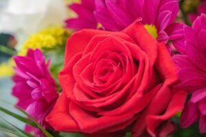 Au fil des Envies fleurs