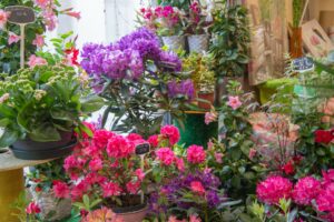 Au fil des Envies fleurs