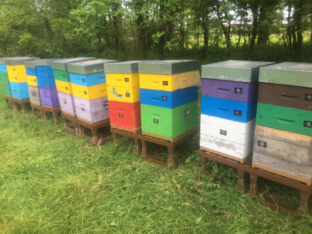 Domaine Apicole de la Besacière Ruches