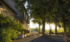 Domaine Apicole de la Besacière