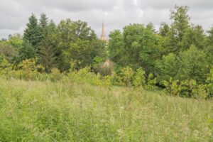 arbre fruitier ecosense buxières-les-mines