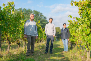 Domaine les terres d'ocre