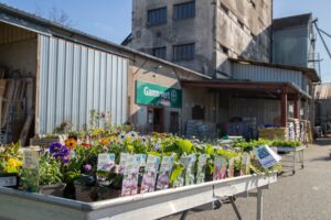 plants Gamm Vert Tronget