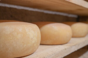 fromages délices de brebis