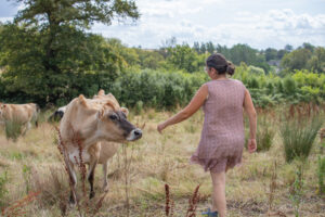 vache jardin d'issard