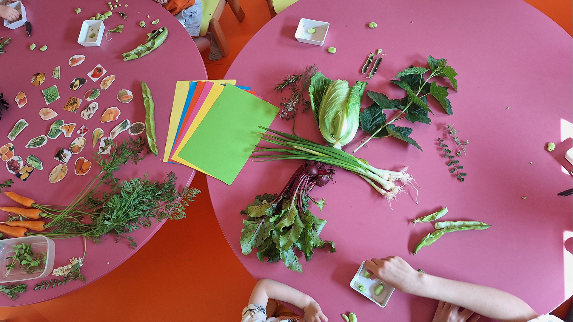 DES FRUITS ET DES LÉGUMES DE SAISON À LA CRÈCHE DE BOURBON