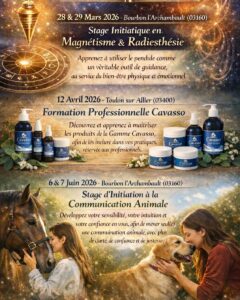 stages sandrine quillet