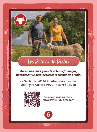 Les Délices de Brebis - Carte jeux Comptoir du Bocage