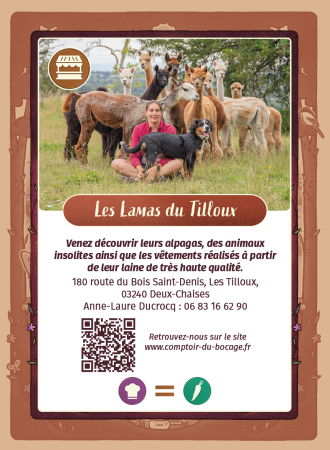 Les lamas du Tilloux - Carte jeux Comptoir du Bocage