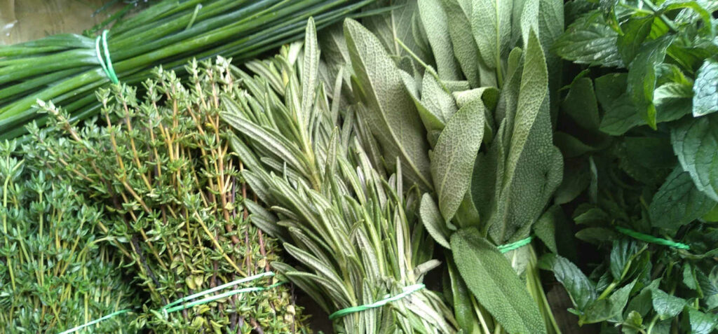 Champs de l'Aurore image de couverture