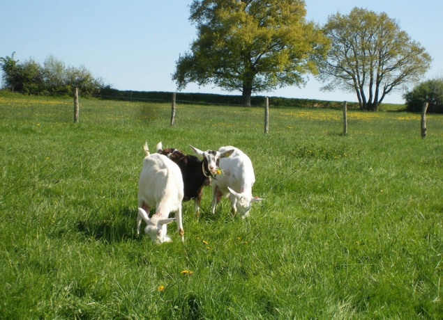 La Ferme de Villars image de couverture