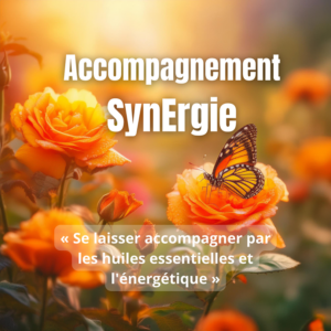 Céline Caille Accompagne synergie