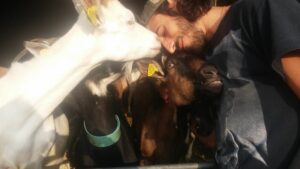 Ferme de la passiflore rocles