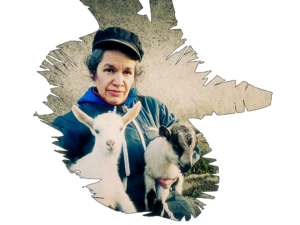 Les chèvres de francine